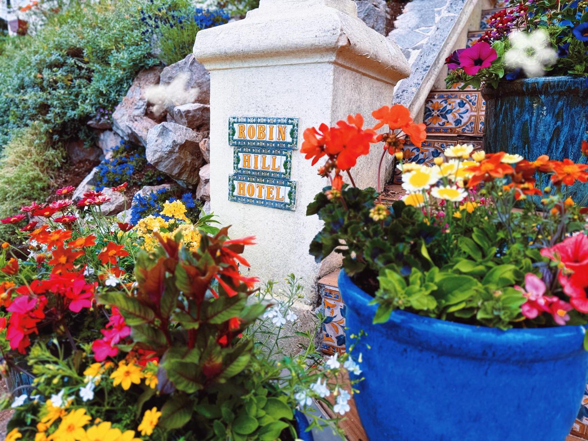 Bed and Breakfast The Robin Hill Торкі Екстер'єр фото