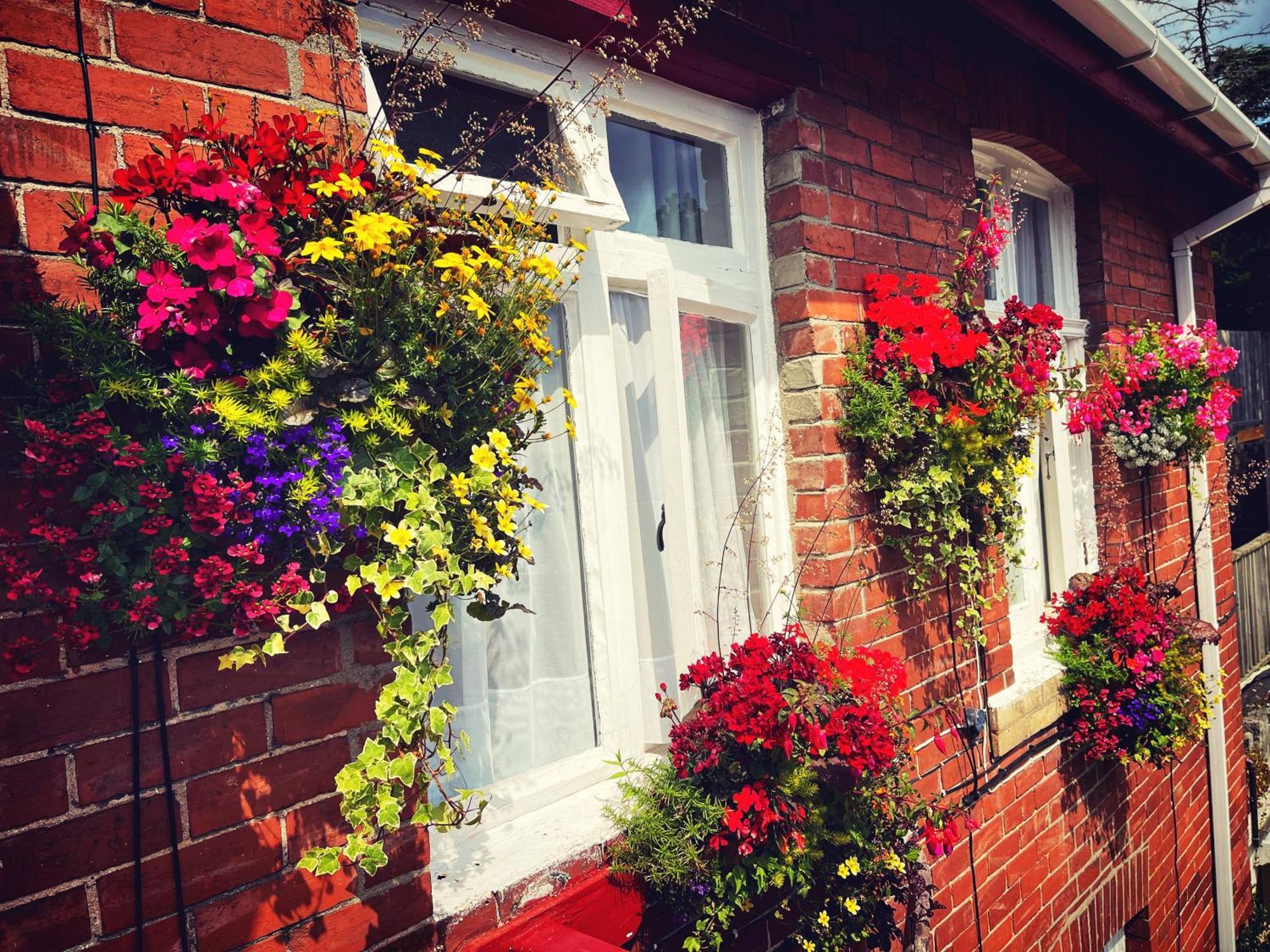 Bed and Breakfast The Robin Hill Торкі Екстер'єр фото